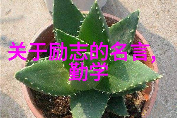名人励志故事读书心得1000字篇章