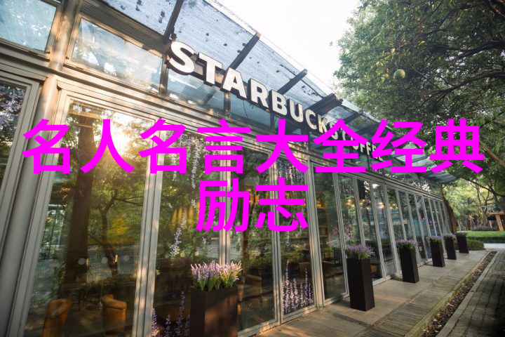 2022年正能量人物事迹中国青年志愿者服务队的温暖行动