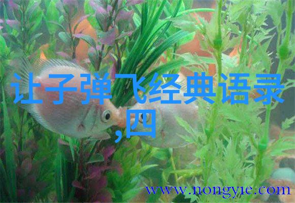 五十年的思念爱情男女的电影故事藏于一件物品之中