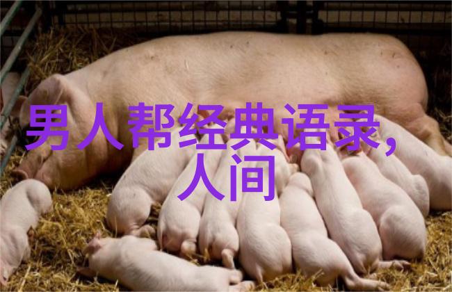婆媳之谜孝顺与受待的对偶考量婆媳电视剧大全排行榜解读