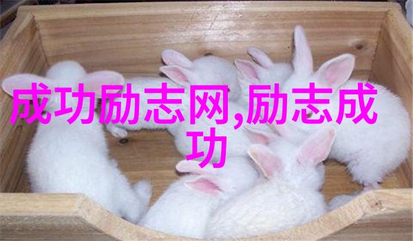席慕容经典语录-心灵的翅膀解读席慕容诗词中的哲理与情感