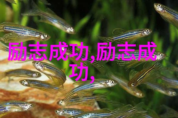 回忆那些年小时代经典语录中的青春与智慧