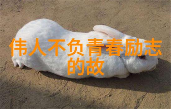 米兰昆德拉创造了一些引人入胜的话题他对于社会批判又是怎样的态度呢