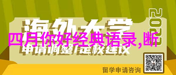 中国故事传递温暖与力量感人瞬间中的中国情怀