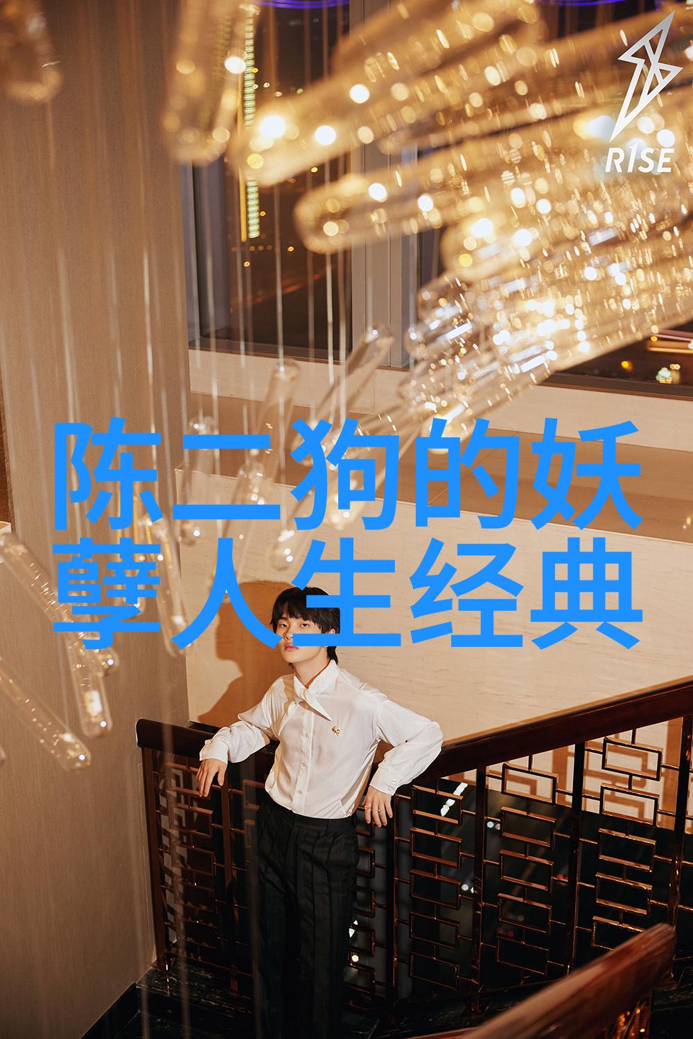 奋斗的奇迹从草根到巨星的不懈追梦