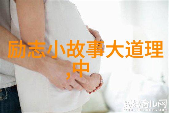 揭秘成功小说家的101个心得以小事做起