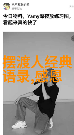 偶像的力量素材名人-星光闪耀追踪偶像背后的故事与力量
