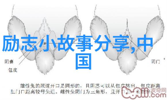 身边人的经典语录一段未解之谜