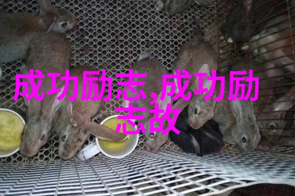 七夕之夜九奶化作情人的誓言轻抚着心灵的伤痕