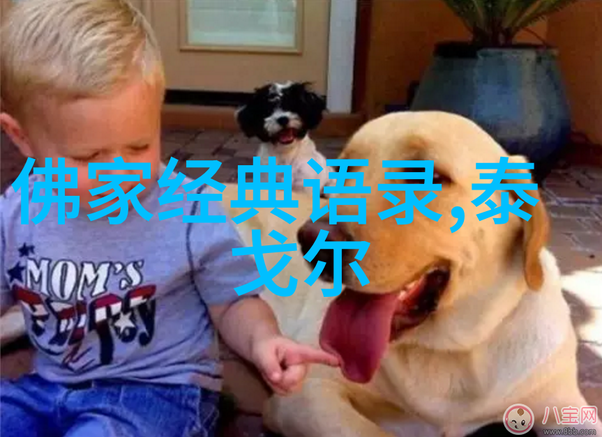 逆境中的力量70条坚持与勇气的名言汇总