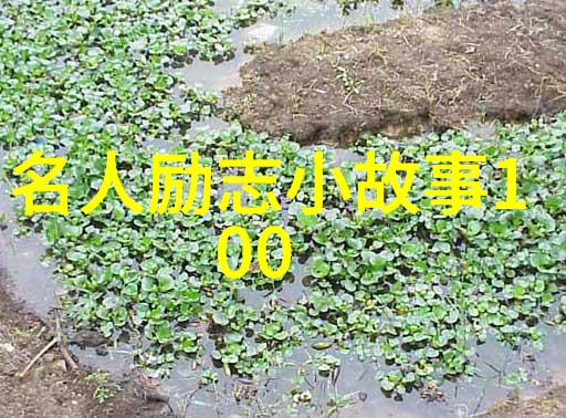 励志-不懈努力砥砺前行追梦者的无声歌曲