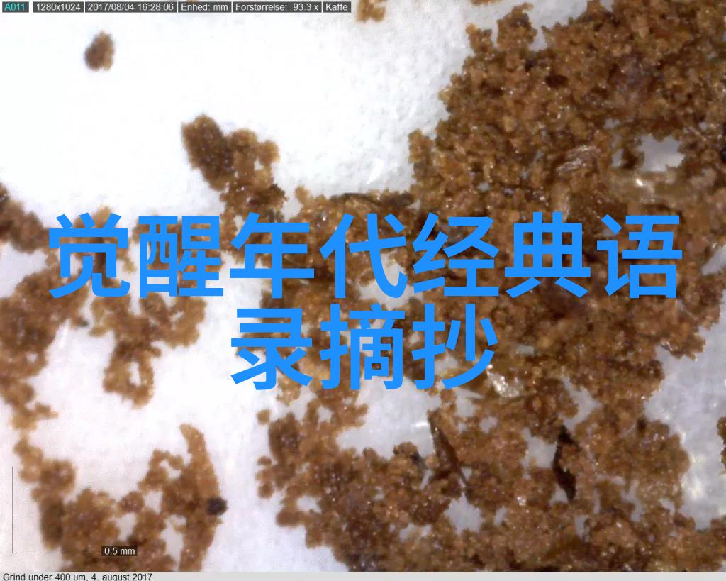友情岁月演唱会2015紧紧相拥永远在心让我们携手共进同行一生