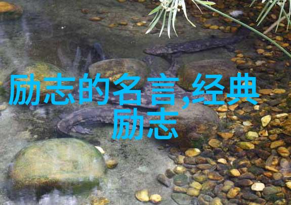 微信下载的温馨小船不冷场的聊天技巧遇到安装后无法打开时该如何泊住心中的波涛