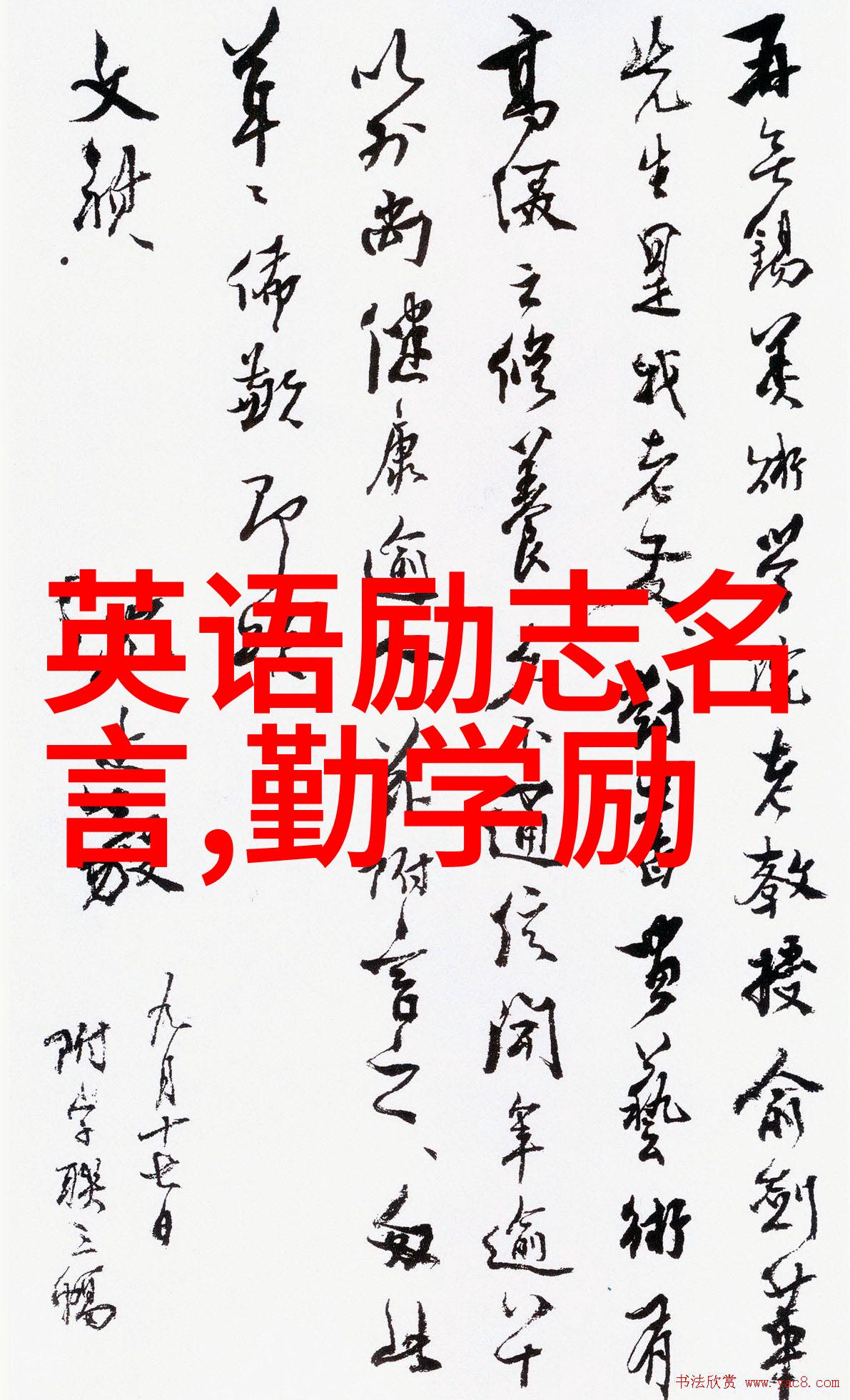 婆媳的战国时代全集免费观看40集揭秘如何化解婆婆讽刺之谜