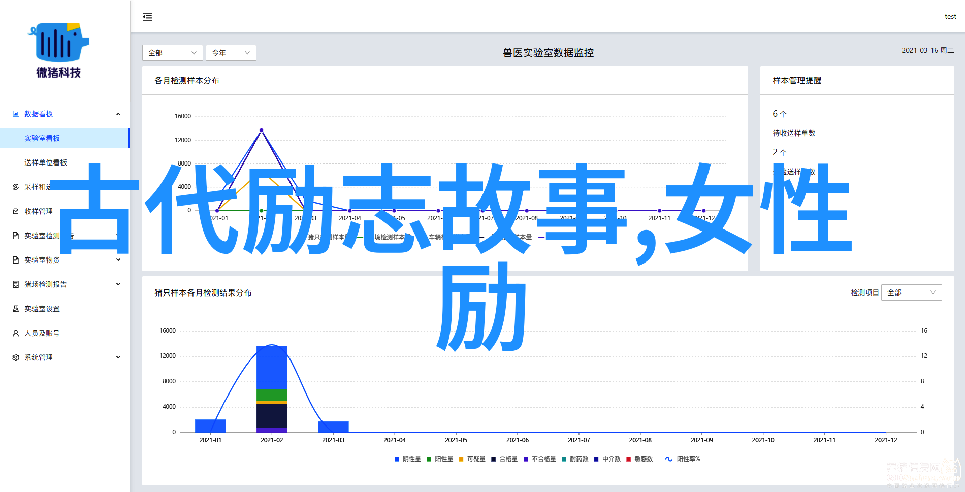 母亲与我共度的那段难忘时光