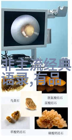 米兰昆德拉经典语录 - 追梦者艾米丽用昆德拉智慧绽放