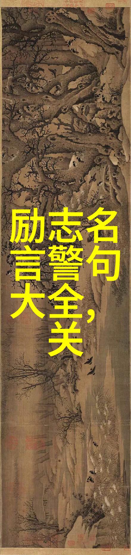 搞机时间揭秘无VIP方式下载恶心视频的高级技巧