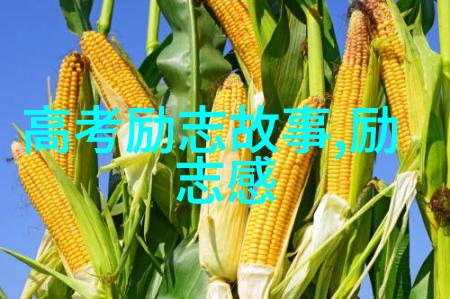 贺炜经典语录老子的话儿让人深省