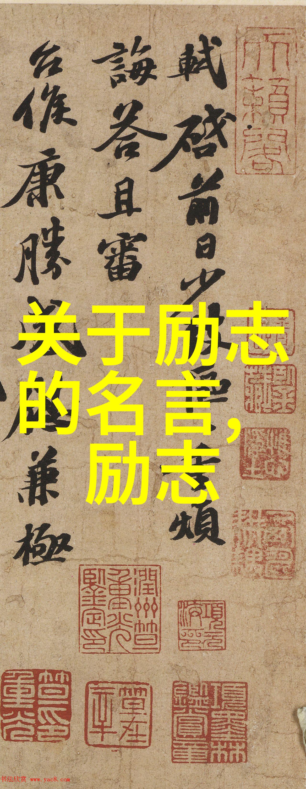 励志的名言 - 创造者奥普拉温弗瑞的力量之语
