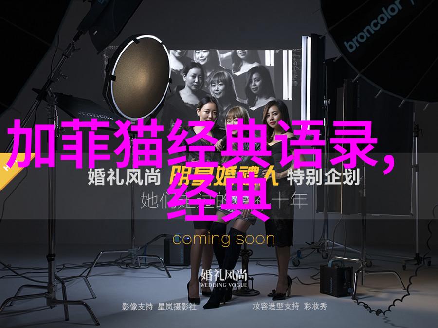情感的哲学家探索张爱玲语录中的深层含义