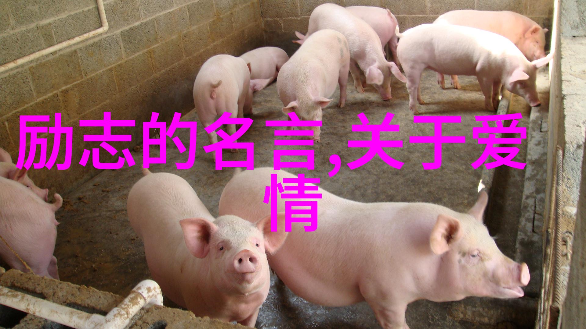 森林深处的秘密之旅探索未知的自然奇观