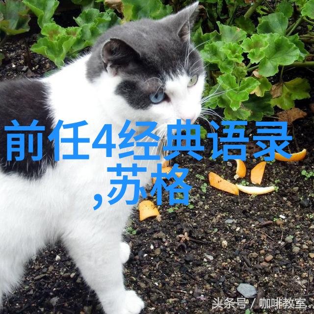 中外名人励志故事100字 - 李现从网红到影帝逆袭的艺术之路