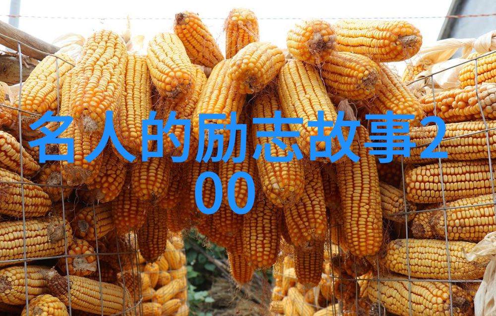 汽车界的土味情话如2022年的套路犹如道路上的隐形人出没不定请驾驶者始终系好安全带