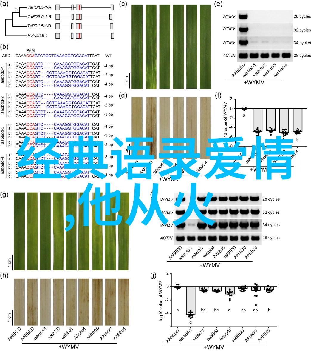 清明节在不同地区的庆祝方式及其特点分析