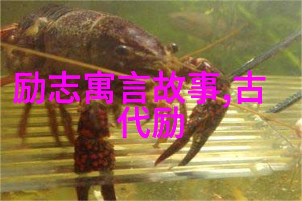 强势女人和谐婆家教你如何驾驭家庭关系