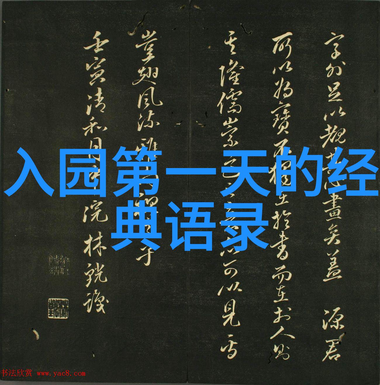 中国感动十大人物泪水与坚韧的故事