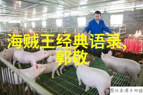 张小娴经典语录我还记得她说过的那些让人心动的话