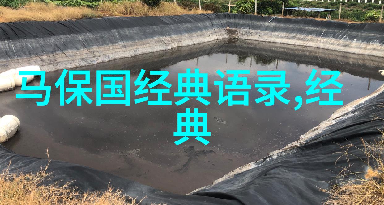 米兰昆德拉经典语录 - 创世者克莱尔的智慧之光