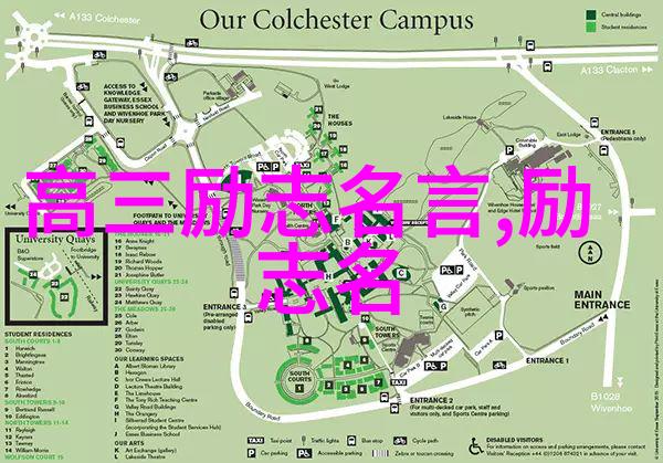 中外名人战胜挫折事例-李小龙从街头摔角到武术传奇
