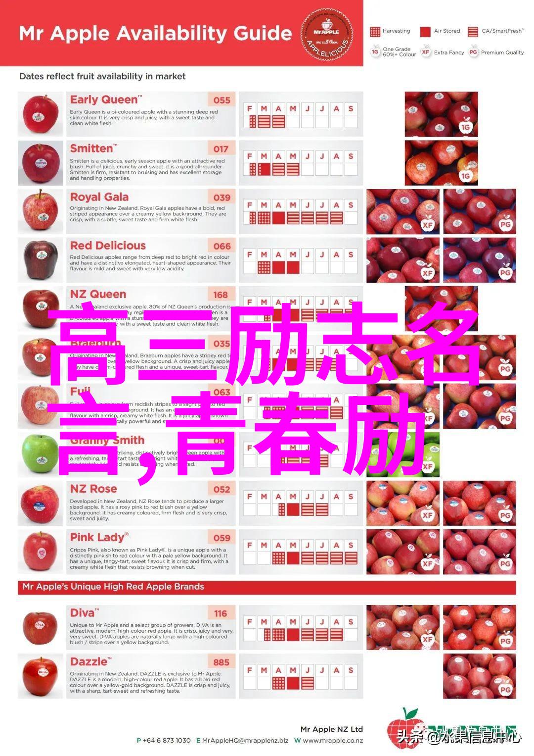 李雷从农村少年到成功企业家奋斗故事