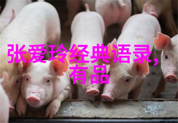 从零到英雄乔布斯的创业精神与成功密码