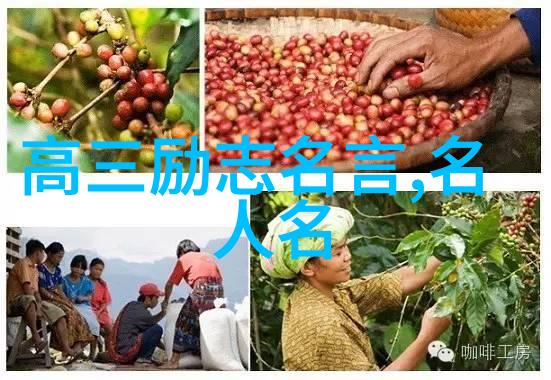 从底层员工到总监的逆袭路程
