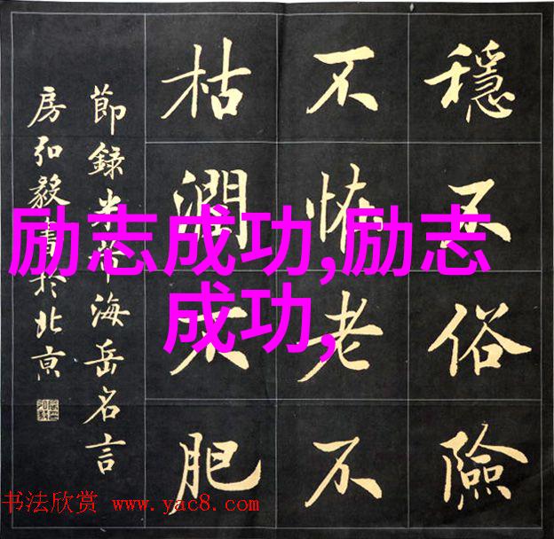 从零到英雄李宁和迈克尔乔丹的不懈追求