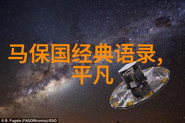 浪漫绽放情意浓缩的瞬间