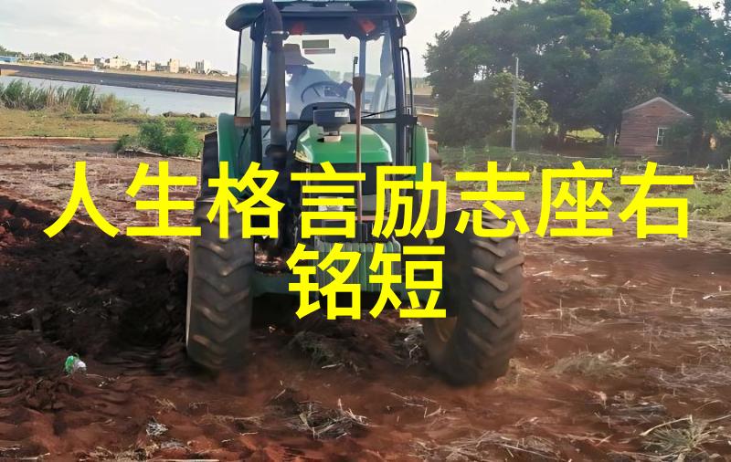 网络经典语录互联网上的流行说法和名言