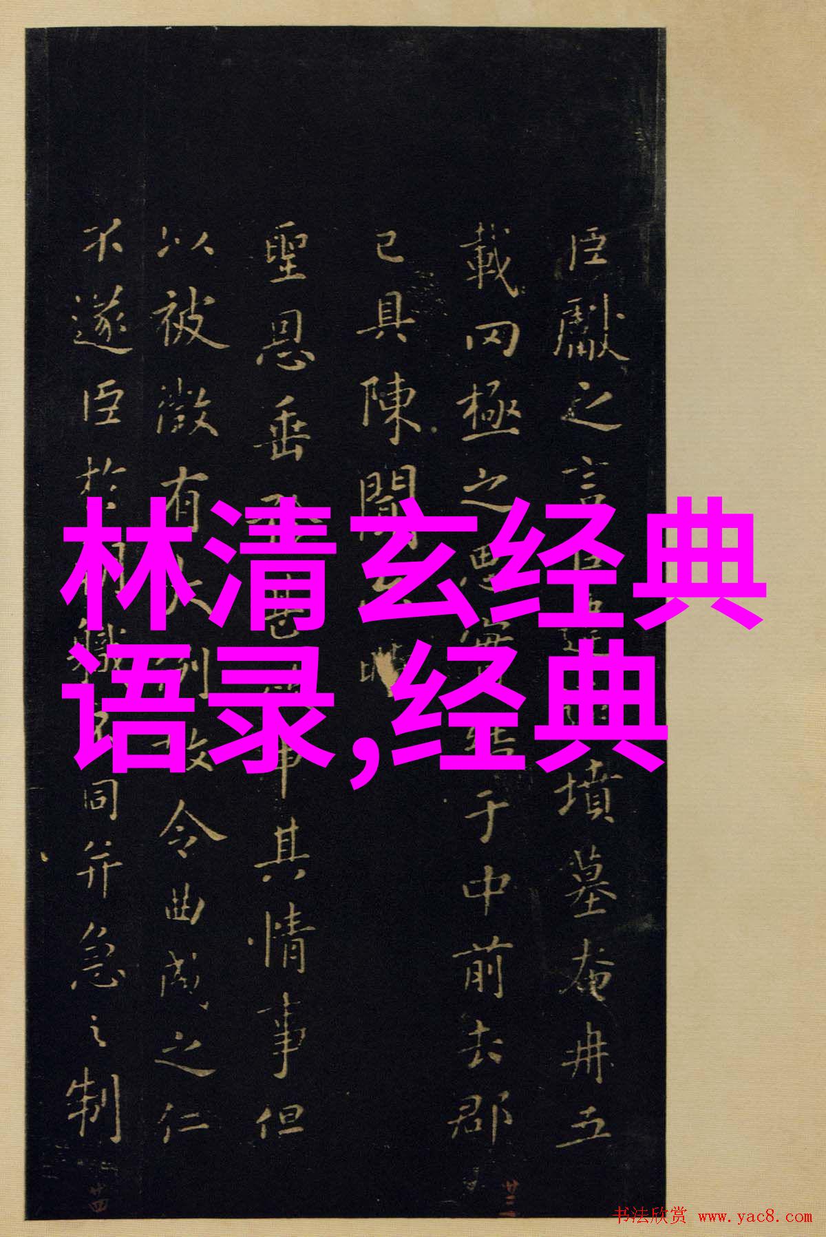 极品公子言传身教的经典语录与人生智慧