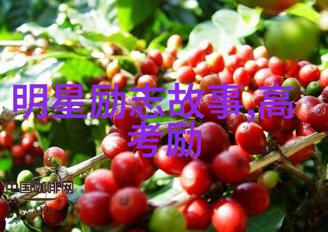勤学励志的名言警句-李敖的智慧之光