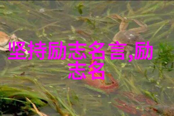 爱情的海洋里没有丑陋的礁石