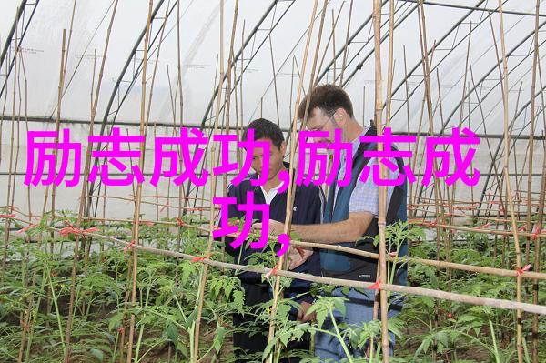 鄂州一家三口的温馨相遇原版视频故事