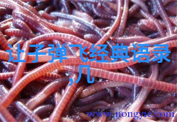 春风得意马蹄疾少年飞升梦中来
