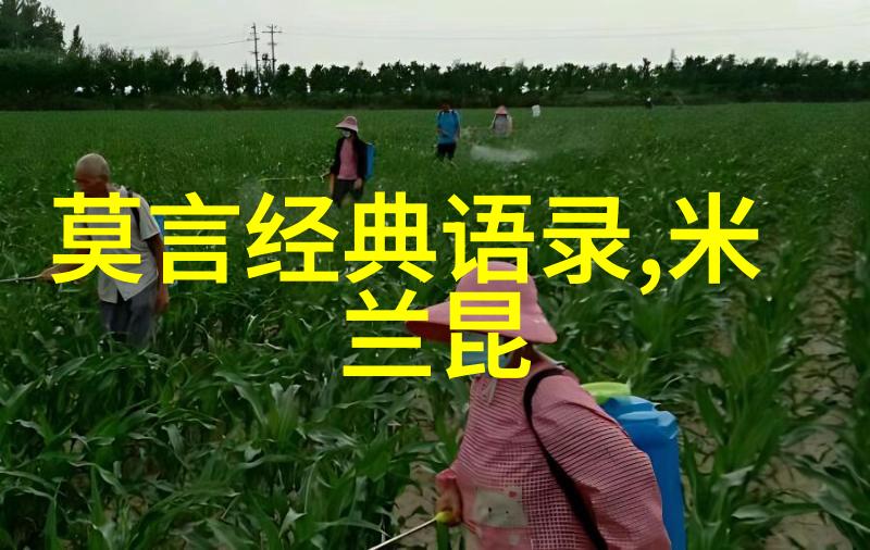 懒羊羊经典语录-逆袭的力量杨光与懒羊羊的故事