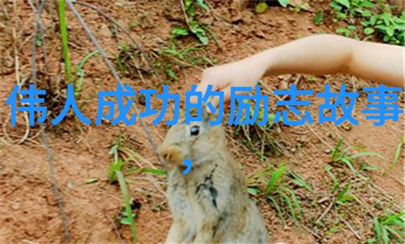 中国典型人物励志故事现代难道不是大男孩要做NO1吗