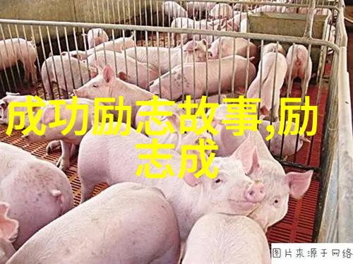 穿越时光的语音从你的全世界路过经典语录中的故事与情感