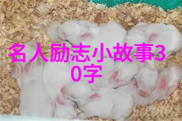 危险的宿舍-宿舍禁区1对3的逆袭