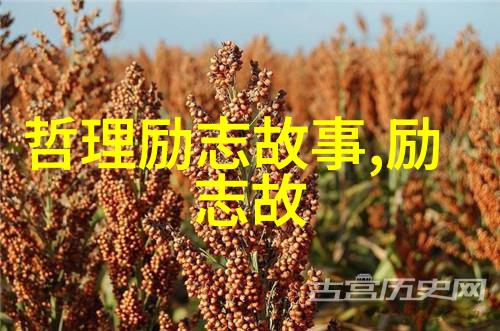 勇往直前不负韶华年轻人如何实现自己的梦想