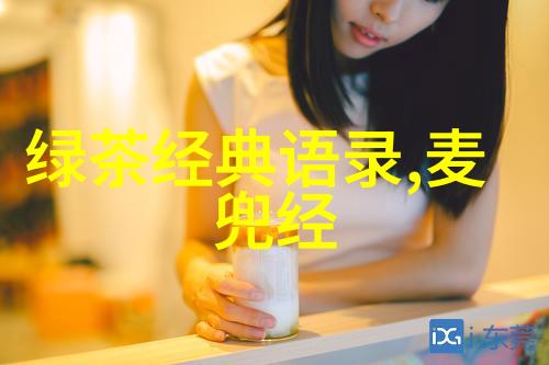 文化桥梁中外名人的跨语言成功案例